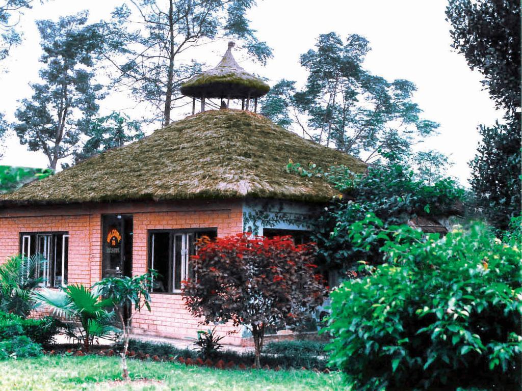 Rainbow Safari Resort Sauraha Εξωτερικό φωτογραφία
