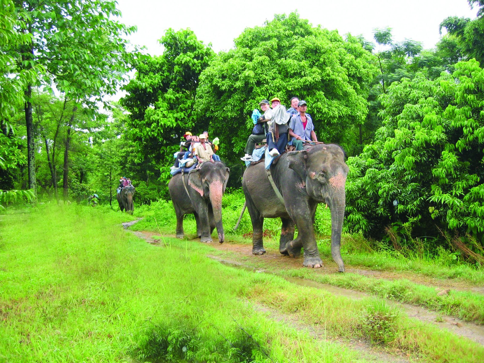 Rainbow Safari Resort Sauraha Εξωτερικό φωτογραφία